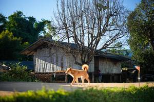 BIB: 
                            <button type="button" onclick="openModal(19311014)" class="btn btn-primary btn-sm float-right btn-popup" data-toggle="modal" data-target=".modal-high-quality">
                        <i class="fas fa-shopping-cart"></i> Add to Cart
                    </button>
                                            <button type="button" onclick="isThisMe(19311014, true)" class="btn btn-success btn-sm float-right btn-popup btn-isme hidden" data-toggle="tooltip" data-placement="bottom" title="นี่คือรูปของคุณใช่ไหม คลิกที่นี่เพื่อเอาเข้าอัลบั้ม">
                        <i class="fas fa-plus"></i> Add to album
                    </button>
                    <button type="button" onclick="isThisMe(19311014, false)" class="btn btn-warning btn-sm float-right btn-popup btn-isnotme hidden">
                        <i class="fas fa-ban"></i> Remove from album
                    </button>